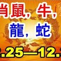 生肖鼠、牛、虎、兔、龍、蛇下周（12 25—12 31）運勢分析！接囍接囍