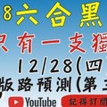 獨支只有一支] 六合彩黑貓(12月28號) 六合彩預測版路(第三版)