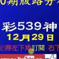 [今彩539神算] 12月29日 獨支 10期版路分析