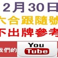 六合跟隨號-12月30日六合彩不出牌參考