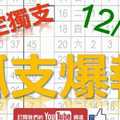 12月30日 六合彩爆報 孤支爆報 鎖定獨支 版路