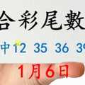 六合彩尾數王 1月6日 上期中12 35 36 39 42 版路預測版本1 準9進10 不斷版