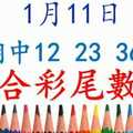 六合彩尾數王 1月11日 上期中12 23 36 49 版路預測版本3 準9進10 不斷版