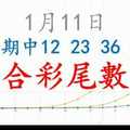 六合彩尾數王 1月11日 上期中12 23 36 49 版路預測版本4 準9進10 不斷版