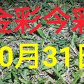 $金彩今彩$ 今彩539--10月31日加減版路號碼大公開