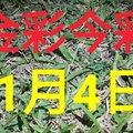 $金彩今彩$ 今彩539--11月4日加減版路號碼大公開