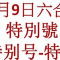 六合11月9日六合彩特別號參考-特别号-特码参考