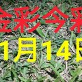 $金彩今彩$ 今彩539--11月14日加減版路號碼大公開