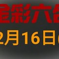 金彩六合◆六合彩 12月16日連開孤支版路 （1）