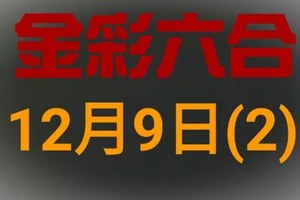 ◆金彩六合◆六合彩 12月9日連開孤支版路 （2）