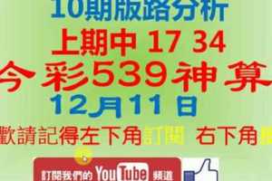 [今彩539神算] 12月11日 上期中17 34 2支 10期版路分析