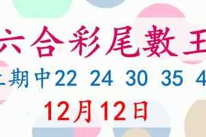 六合彩尾數王 12月12日 上期中22 24 30 35 48 版路預測版本2 準11進12 不斷版