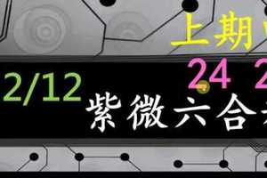 紫微六合彩 12月12日 上期中24 29 紫微抖抖3星版路