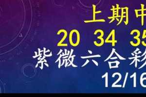 紫微六合彩 12月16日 上期中20 34 35 單號定位,雙號拖牌版路獨家大公開