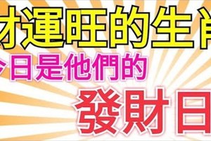 財運旺的四大生肖！今日是他們的發財日！