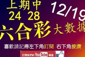 六合彩大數據 12月19日 上期中24 28 4支同開版路