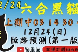 [上期中03 14 30 47]六合彩黑貓(12月24號)六合彩預測版路(第一版)