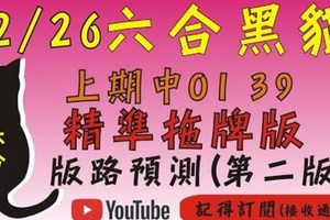 [上期中01 39/連準10期]六合彩黑貓(12月26號)六合彩預測版路(第二版)