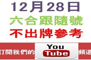 六合跟隨號-12月28日六合彩不出牌參考