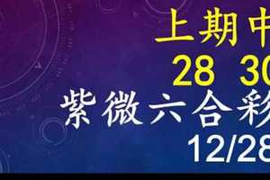 紫微六合彩 12月28日 上期中28 30 單號定位,雙號拖牌版路獨家大公開