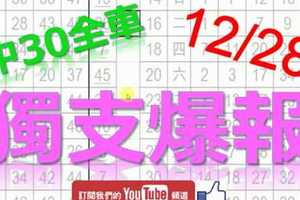 12月28日 六合彩爆報 上期中30獨支全車 獨支爆報 鎖定孤支 版路