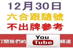 六合跟隨號-12月30日六合彩不出牌參考