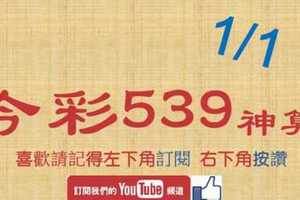 [今彩539神算] 1月1日 5支 單號定位 雙號 拖牌