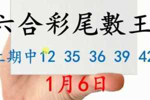 六合彩尾數王 1月6日 上期中12 35 36 39 42 版路預測版本1 準9進10 不斷版