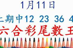 六合彩尾數王 1月11日 上期中12 23 36 49 版路預測版本3 準9進10 不斷版