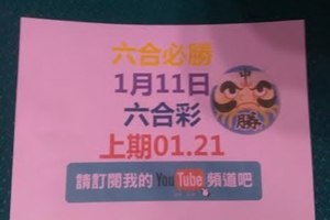 六合必勝-上期01.21-1月11日六合彩號碼版路2版