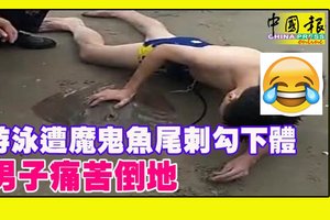 游泳遭魔鬼魚尾刺勾下體 網友看到畫面後忍不住為男子喊疼