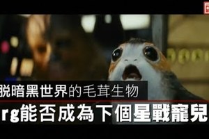 【影片】跳脫暗黑世界的毛茸生物　Porg能否成為下個星戰寵兒？