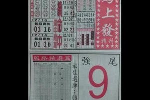 2017/12/19香港六合彩參考用全分享12(神鷹靈動,財經,馬上發特刊)