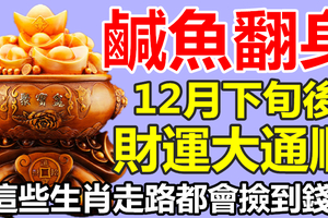 鹹魚翻身！12月中旬後，財運大通順，走路都會撿到錢的生肖 【88秒內轉發分享2018走好運！】