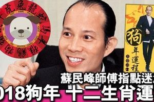  蘇民峰指點迷津 2018狗年十二生肖運程完全睇