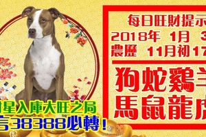 今天1月3日,每日旺財提示：狗蛇雞羊，馬鼠龍虎。財星入庫！大旺之局留言38388必轉！