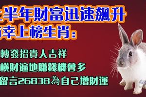 上半年財富迅速飆升，上榜生肖：橫財遍地賺錢機會多，留言26838為自己增財運，轉發招貴人吉祥。