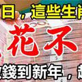 1月7日開始，這些生肖大轉運，數錢到新年，錢註定花不完！