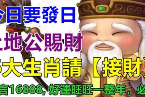 今日要發日，土地公賜財，6大生肖請【接財】，留言16888, 好運旺旺一整年，必靈！