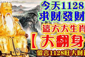 今天1128，求財發財，這六大生肖【大翻身】