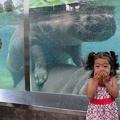 18張讓大家看了會驚慌失色的「失控的動物園一日遊」照片