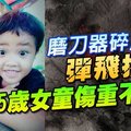 磨刀器碎片彈飛插胸 5歲女童傷重不治!! 