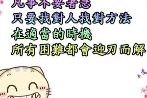 張小嫻經典語錄大全 張小嫻經典語錄大全