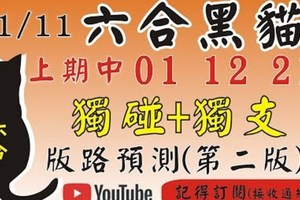 (六合黑貓)1/11(四)參考-精準獨支+獨碰[上期中 01 12 21]六合彩預測版路(第二版)