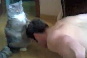 主人在家鍛煉肌肉，貓咪在一旁監督指導，貓咪：就是這個節奏！