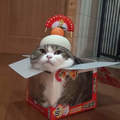 日本新年《鏡餅貓》出沒　原來鏡餅也可以是這麼萌的東西啊～♥