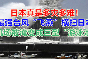 日本真是多灾多难！最强台风“飞燕”横扫日本 机场被淹变成巨型“游泳池”