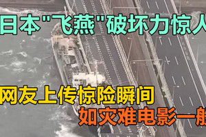 日本“飞燕”破坏力惊人，网友上传惊险瞬间，如灾难电影一般