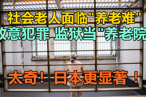 社会老人面临"养老难"，故意犯罪，监狱当"养老院"，太奇！日本更显著！