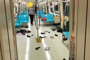 霸王色霸氣老鼠癱瘓列車？北捷回應了